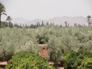 Ancient irrigation systems…