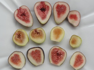 Figs for morning tea….