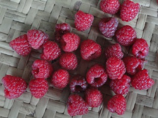 Raspberry intoxication….