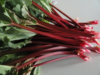 Rhubarb rhubarb….