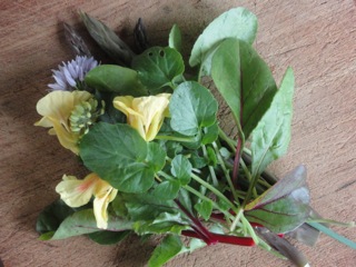 Salad leaf posy….