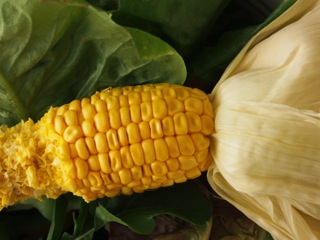 Sweet corn…