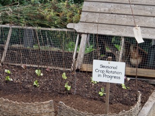 Seasonal crop rotation….