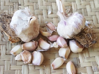 Anzac garlic…