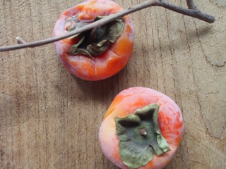 End of the persimmons….