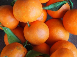Little oranges….