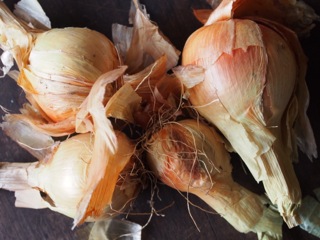 Winter onions….