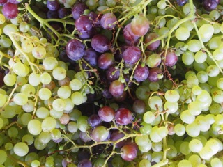 Sweet grapes….