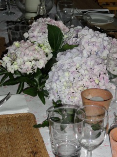 Heavenly hydrangeas….