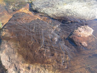 Thrill of the spillway…..