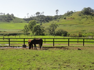 Bucolic scene from my stand yesterday…..